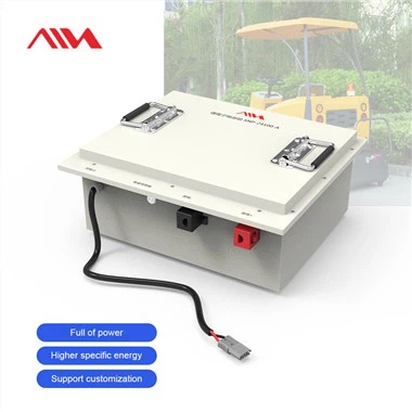 LiFePO4 24V personalizzata 50Ah 100Ah Macchina per la pulizia dei pavimenti Batteria per spazzatrice per pavimenti a batteria