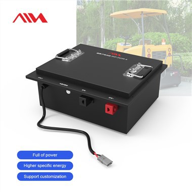 Batterie ricaricabili al litio ferro fosfato LiFePO4 a ciclo profondo della batteria 24V 100Ah del carrello da golf EV